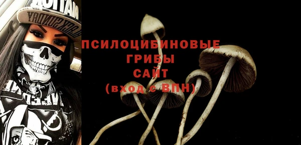 мдпв Балахна