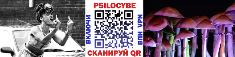Псилоцибиновые грибы GOLDEN TEACHER Гаврилов Посад