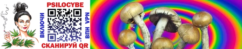 Галлюциногенные грибы Psilocybe  Гаврилов Посад 